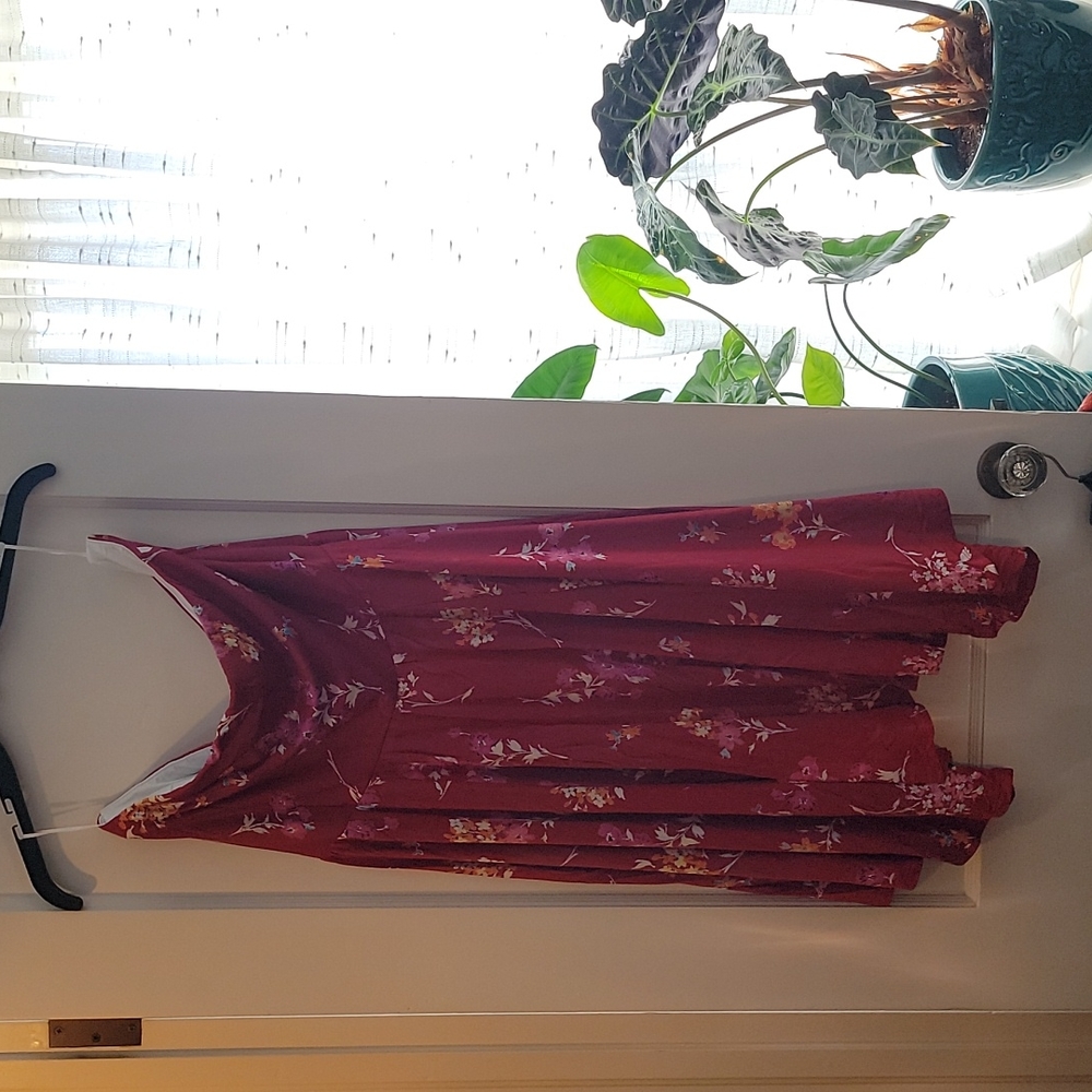 NWOT Express Dress